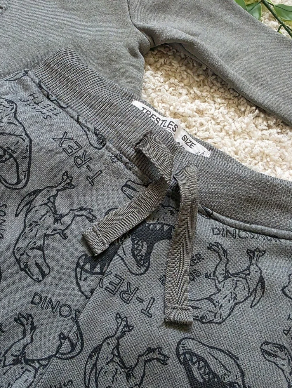 Toddler Boy Dinosaur Outfit (2T)